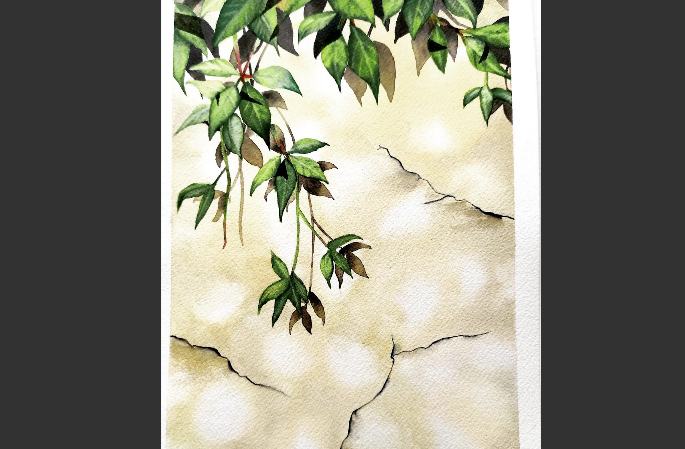Shadows on Wall - student project