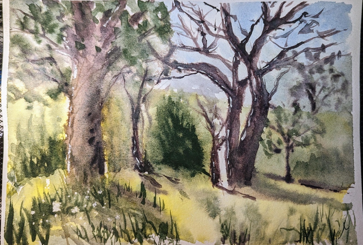 Loose Landscape - student project