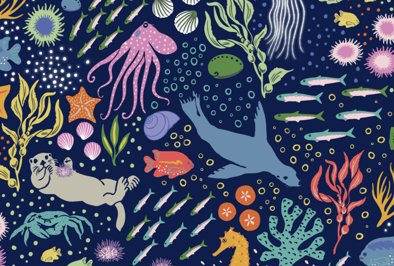 Pacific sea life