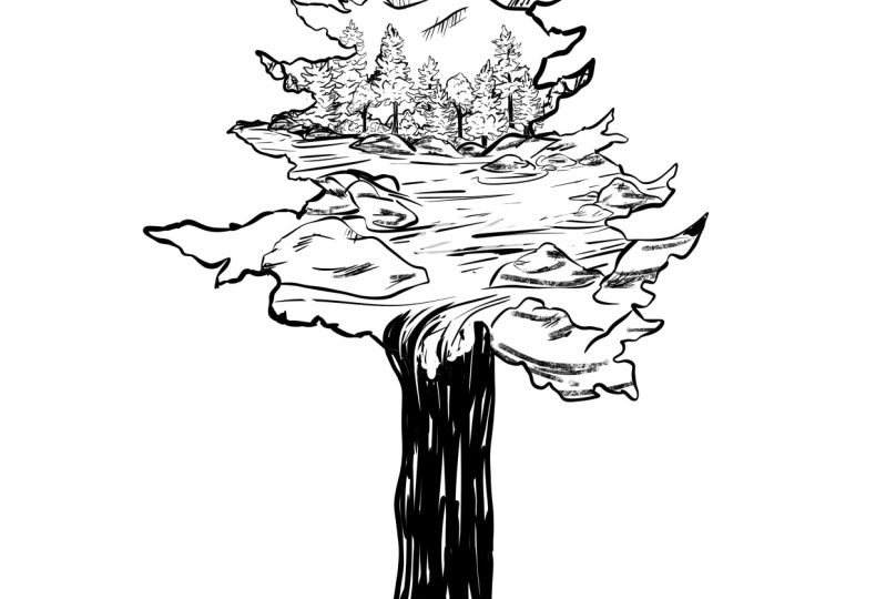 Through the Trees