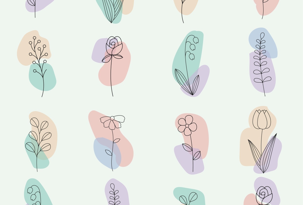 Flowers - student project