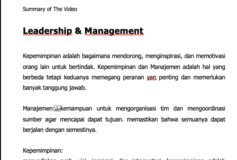 Summary of The Video