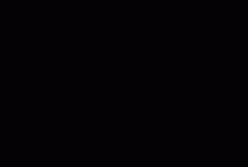 erste GIFs