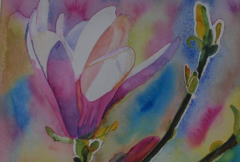 Watercolour Magnolia