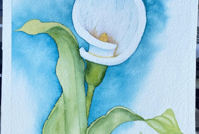 Watercolor Backgrounds: From Beginner to Advanced