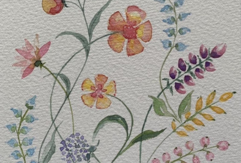 Watercolour Techniques & Textures