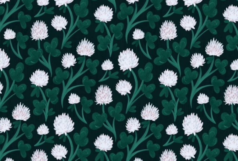 White Clovers