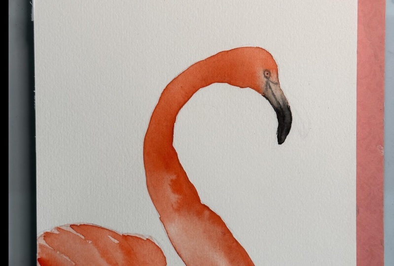 Flamingo Bird