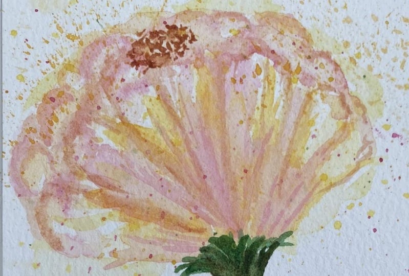 Tropical Hibiscus