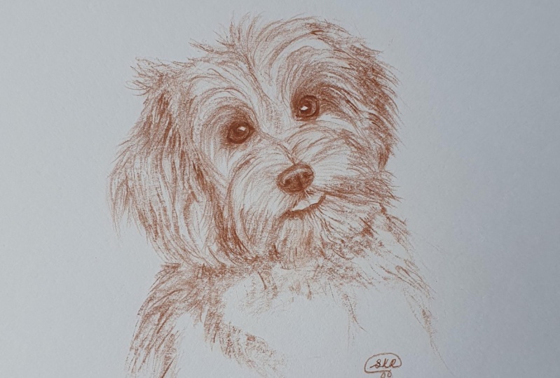 Dog No. 1