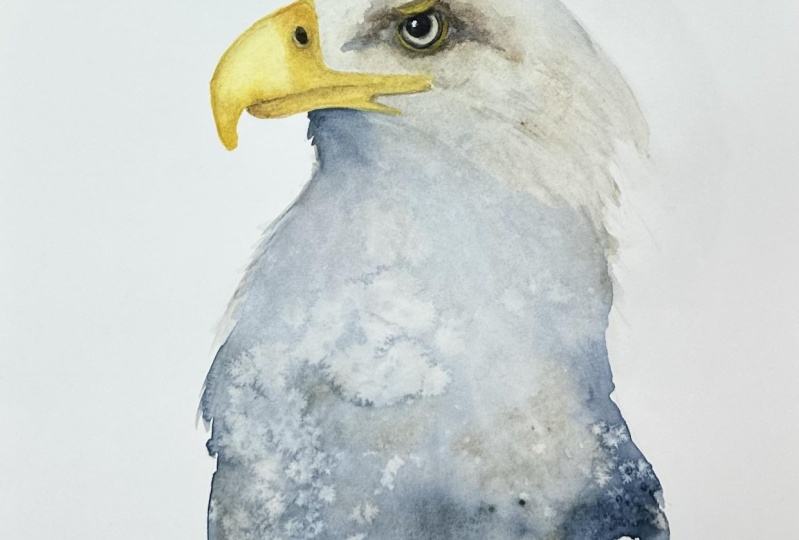 Eagle
