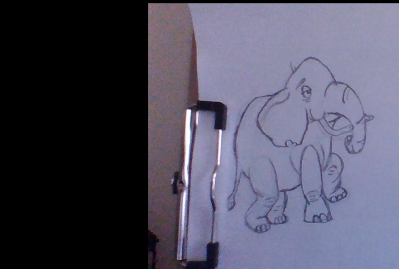 Elephant