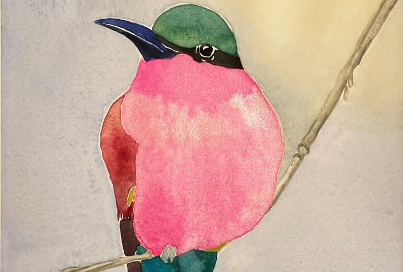 Bird (watercolor wash)