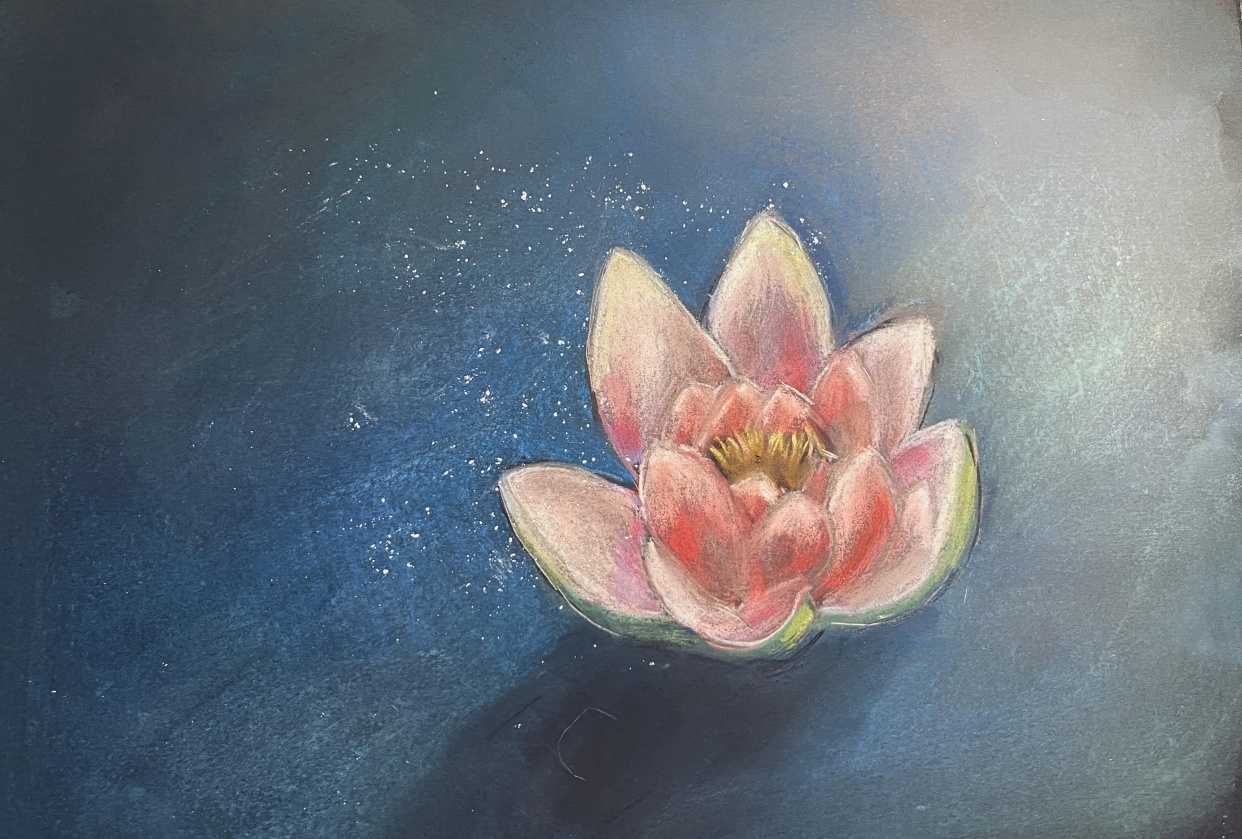 Water lily with soft pastels - student project