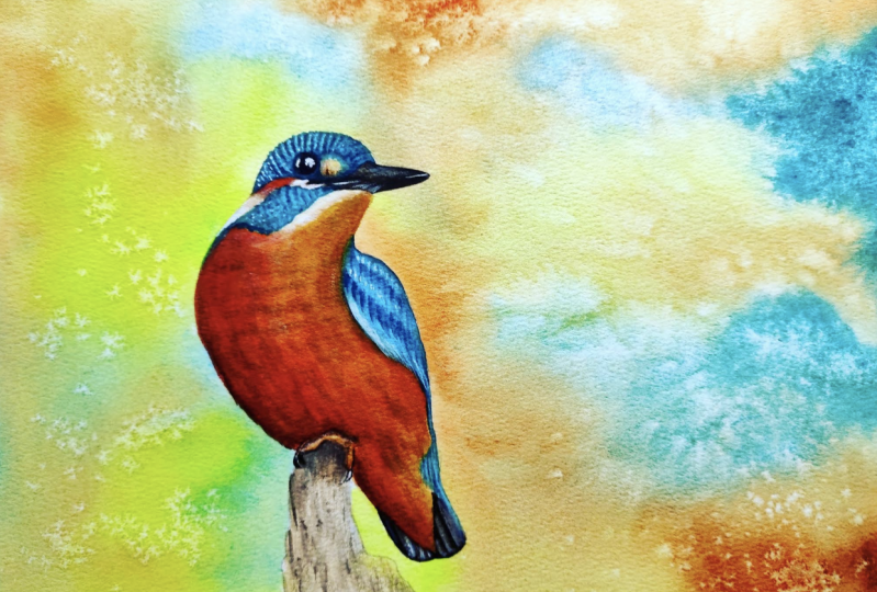 Kingfisher
