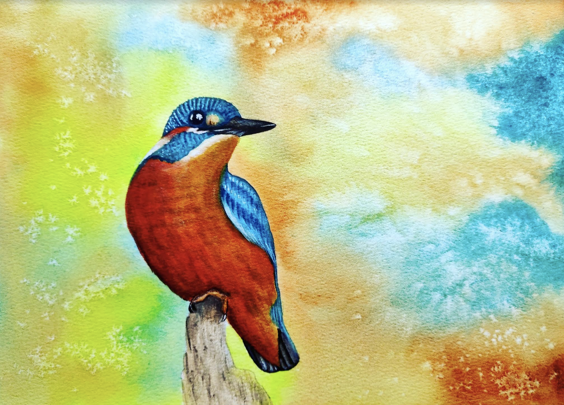 Kingfisher - student project