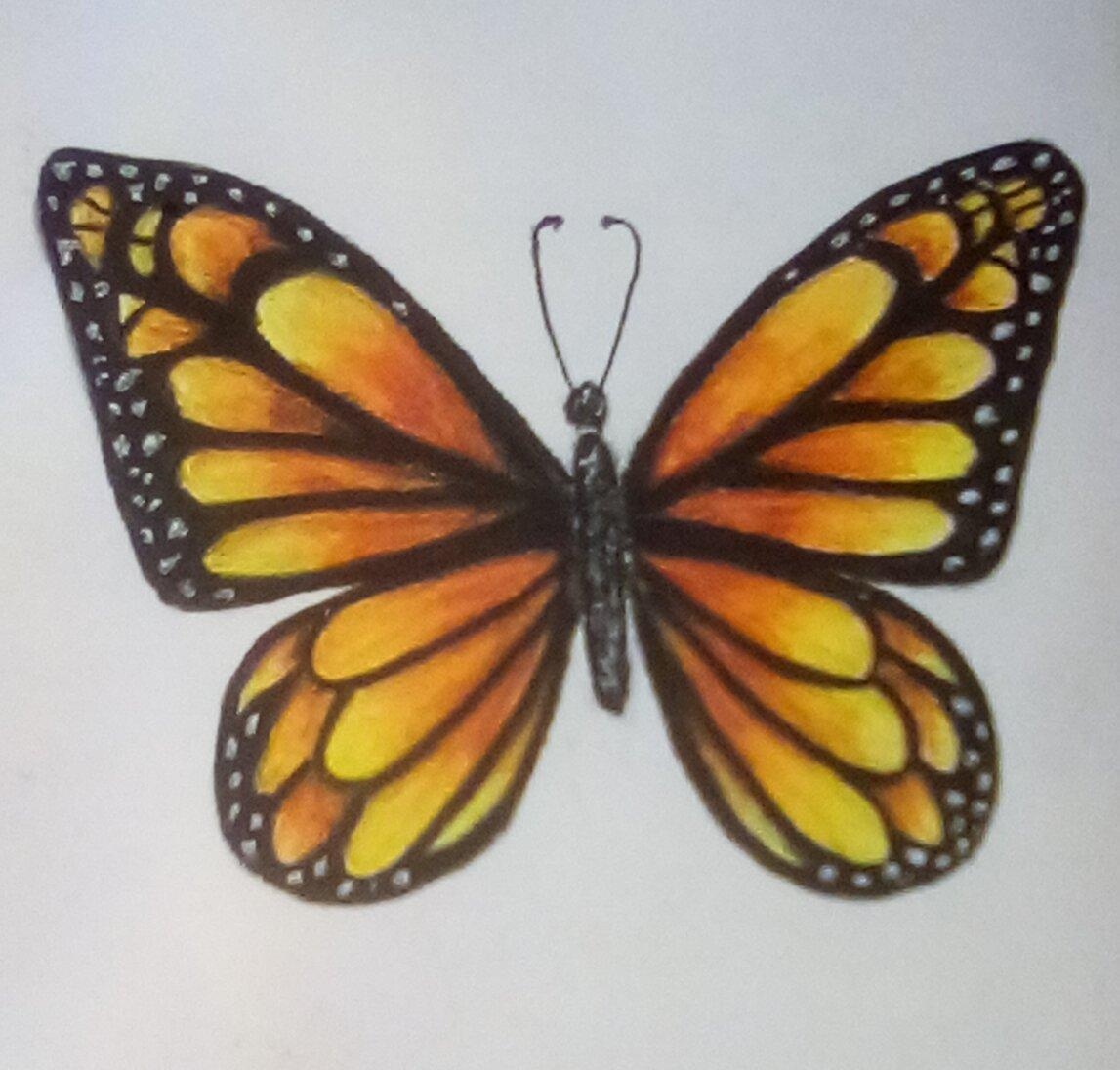 more-projects-from-class-img