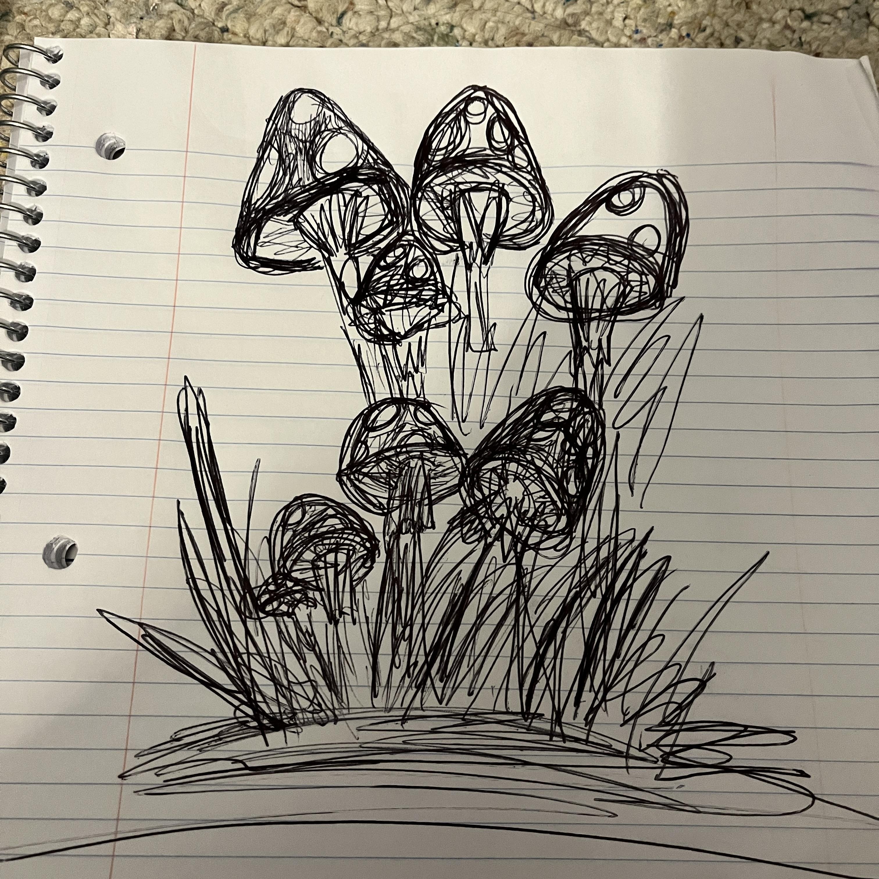 Mushroom Pencil and Pen Drawing - student project