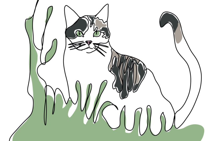 Continuous line art