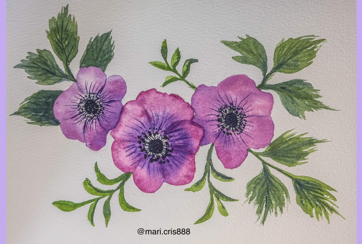 Anemones - student project
