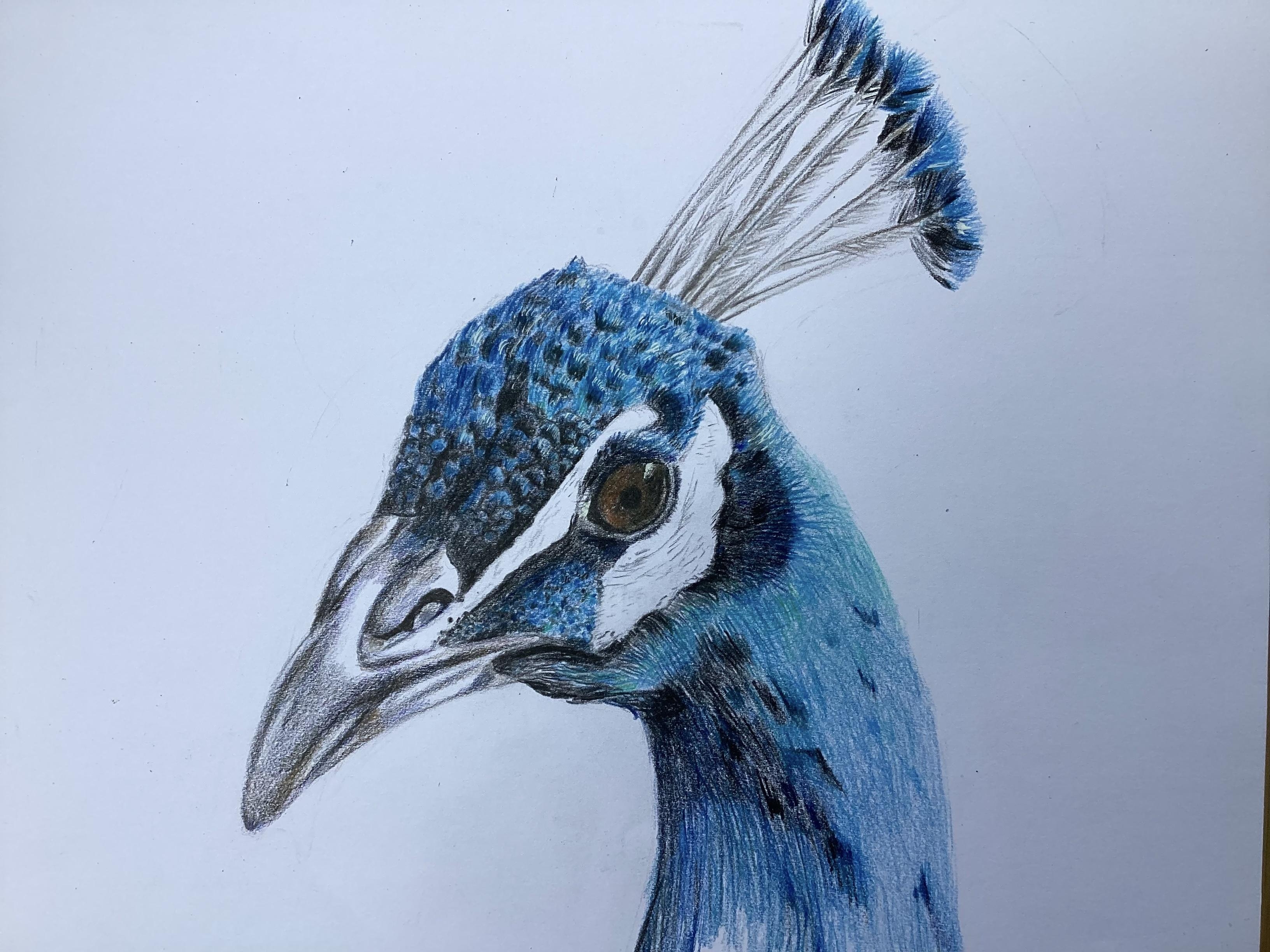 more-projects-from-class-img