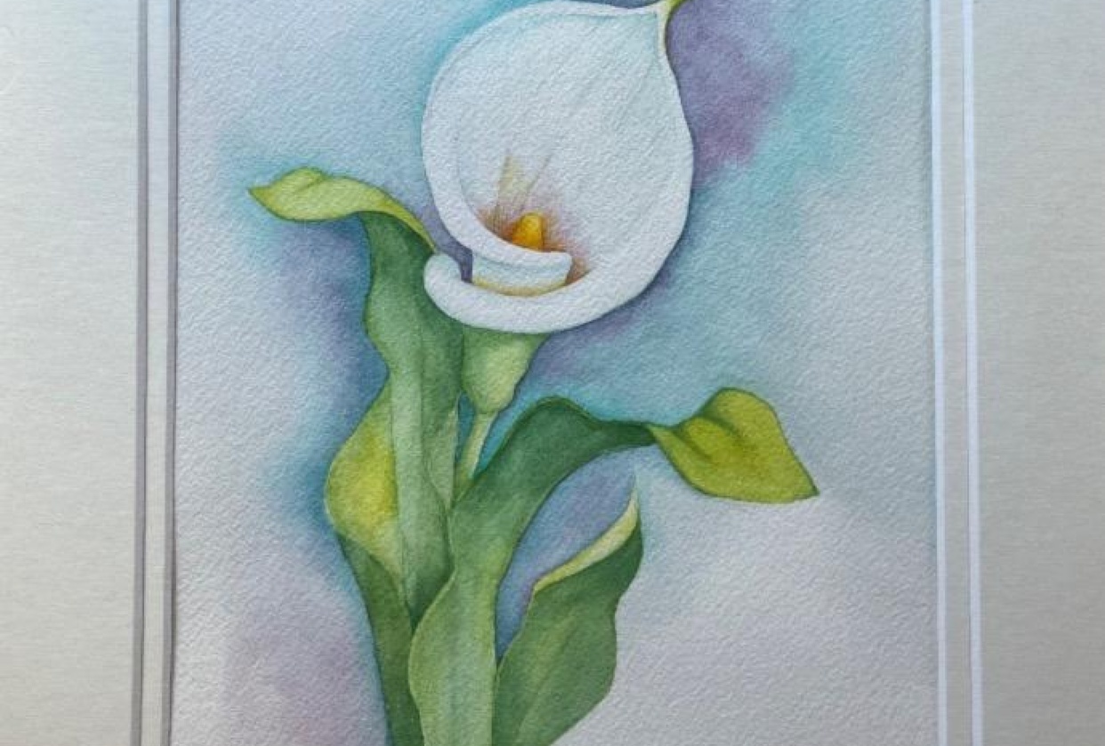 Lily Wash - student project