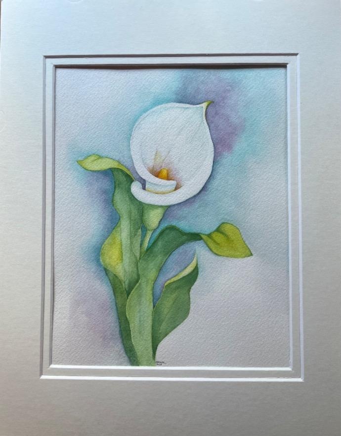 Lily Wash - student project
