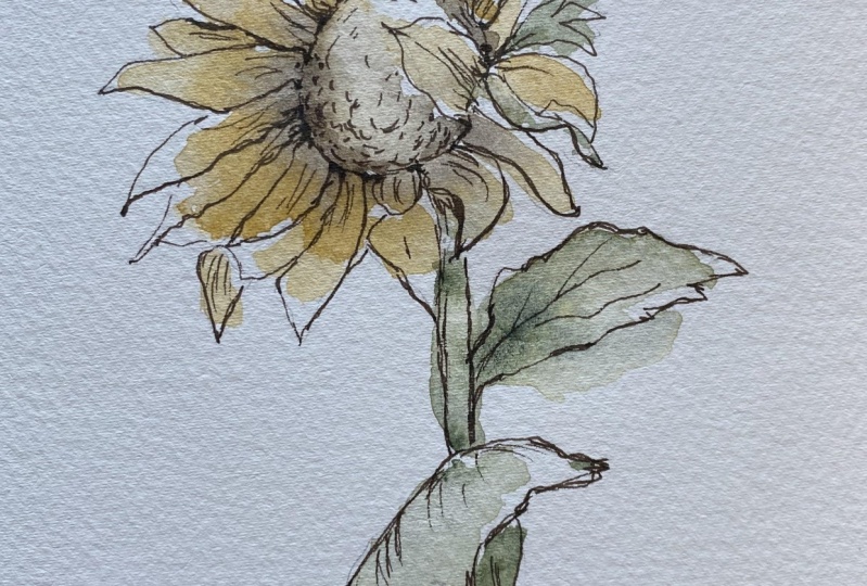 Ink and wash