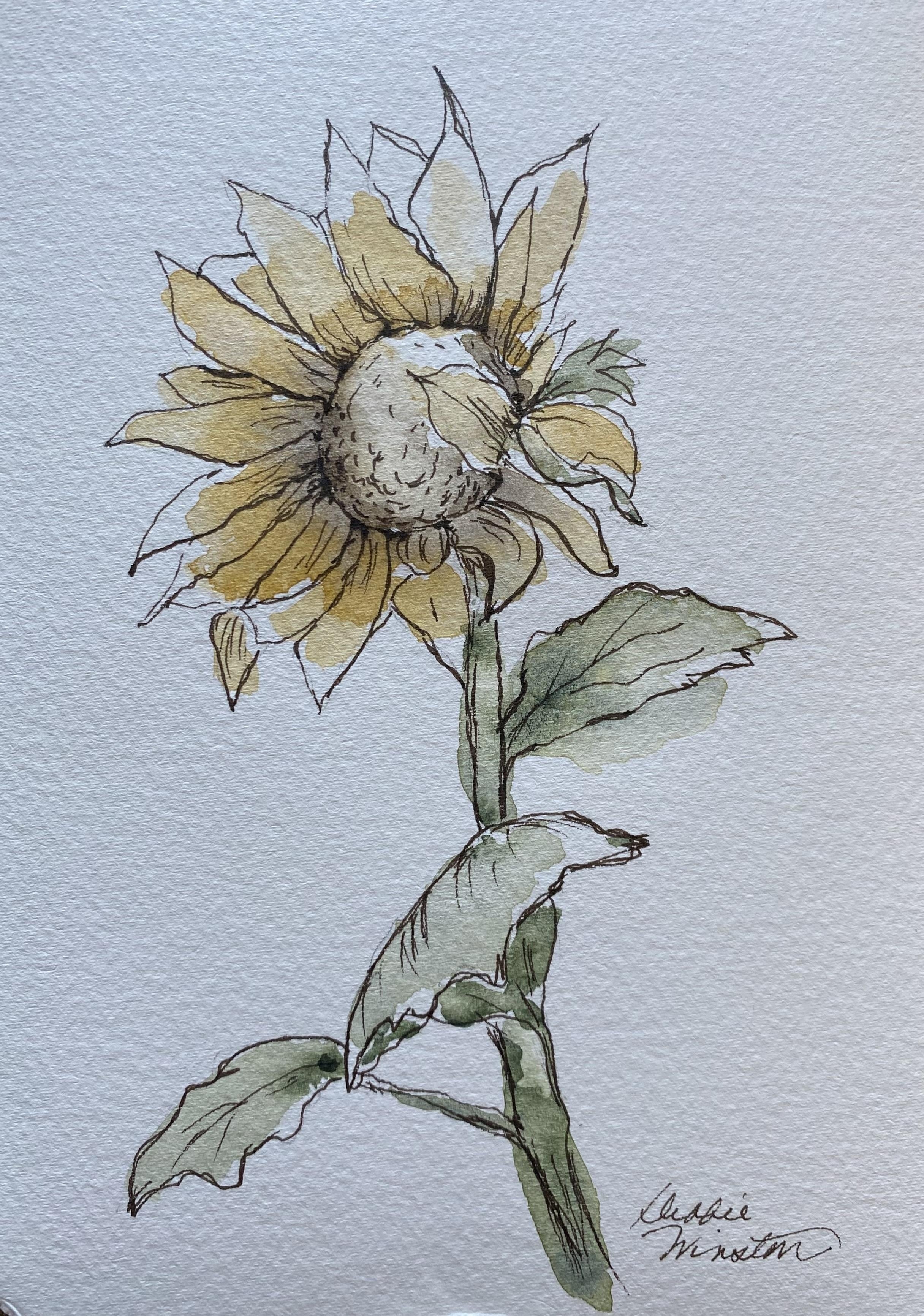 Ink and wash - student project