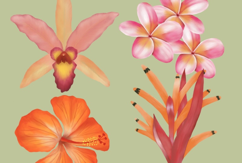 Tropicals