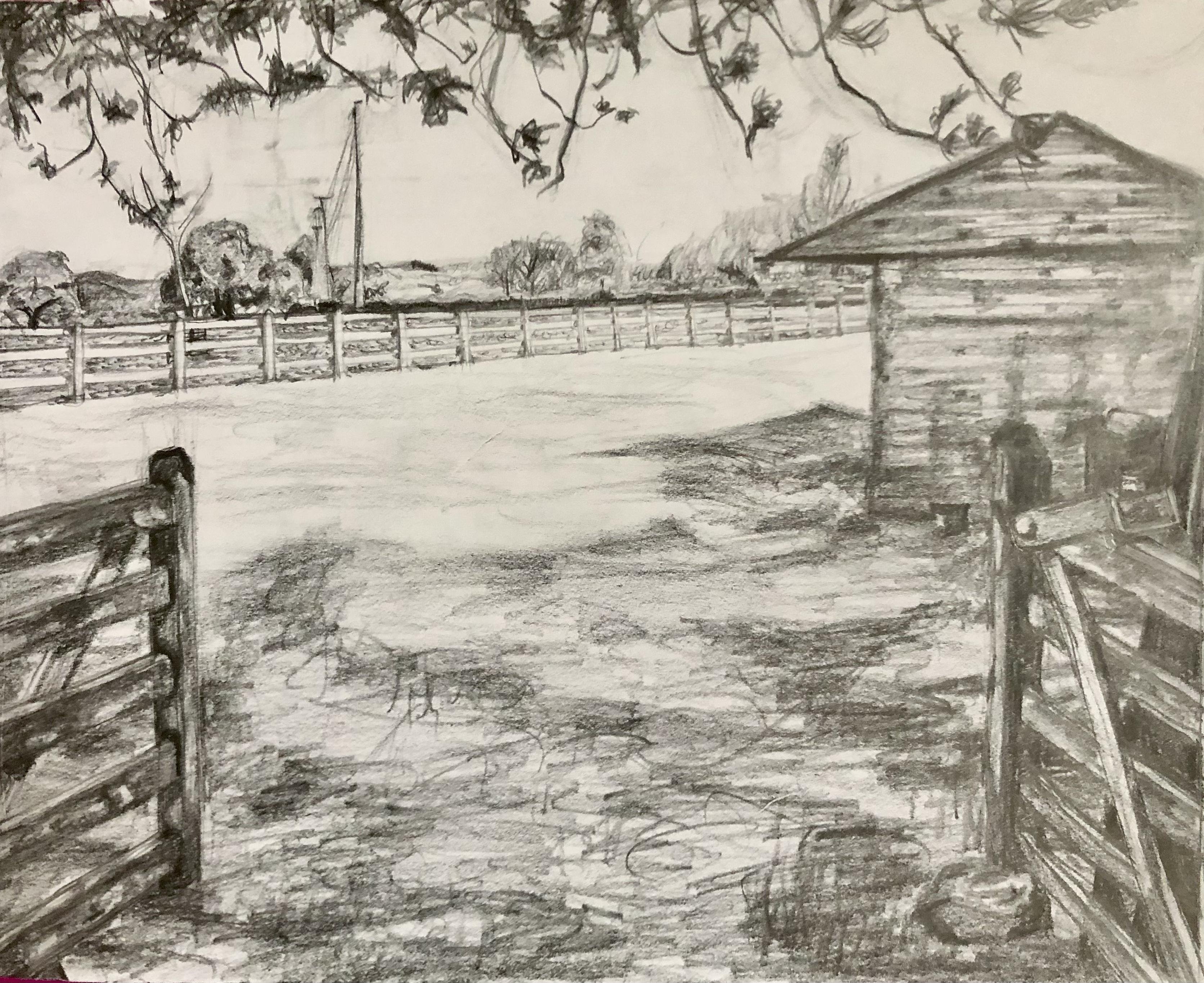 First Landscape - student project