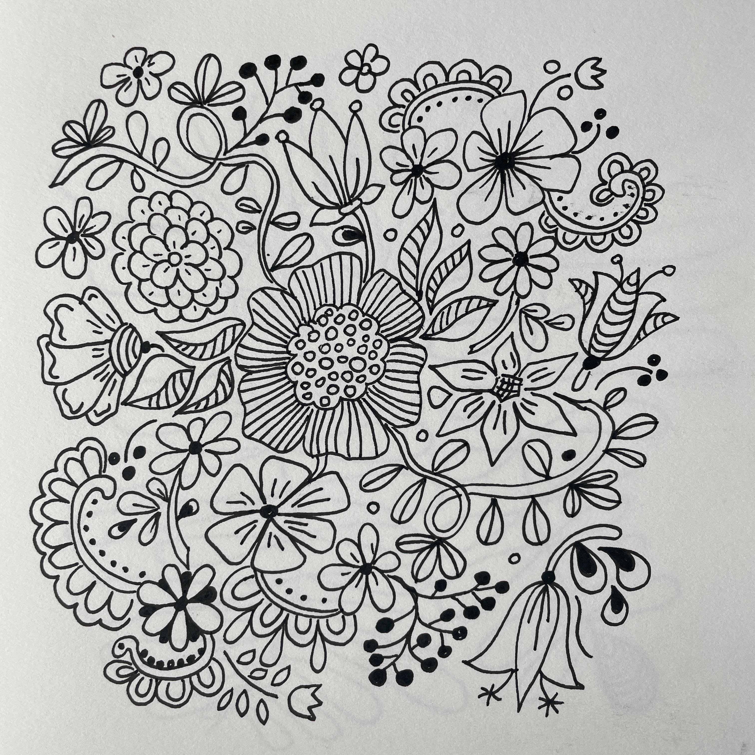 more-projects-from-class-img