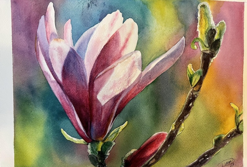 Beautiful magnolia in watercolor