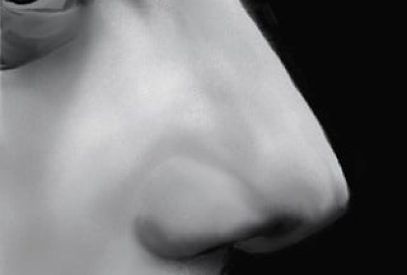 Nose