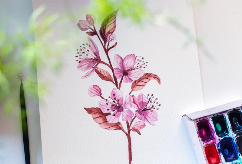 Spring blossom