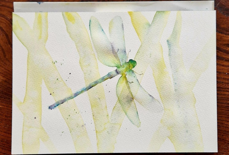 Dragonfly