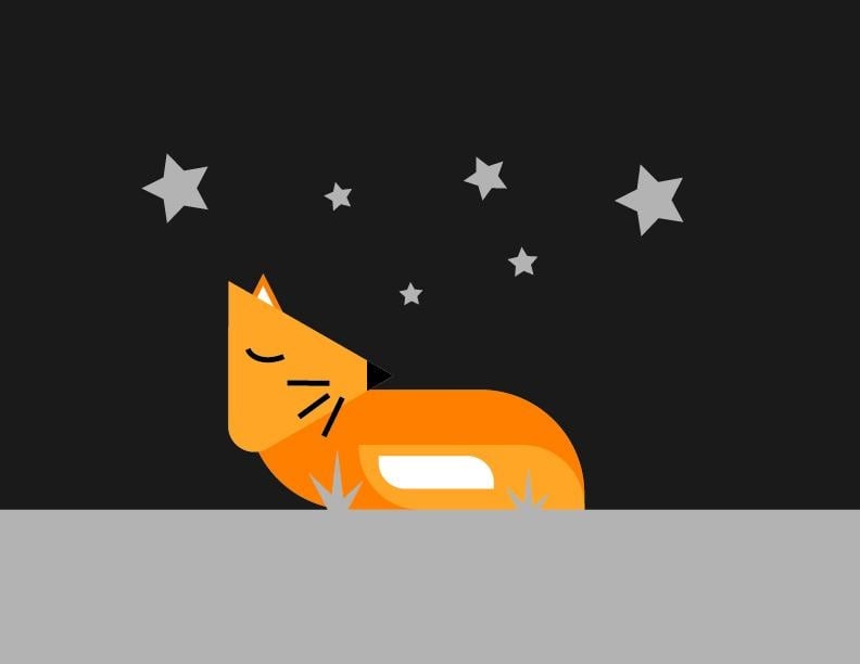 Sleeping fox