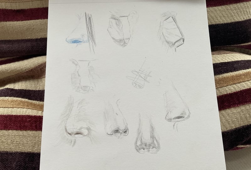 Noses