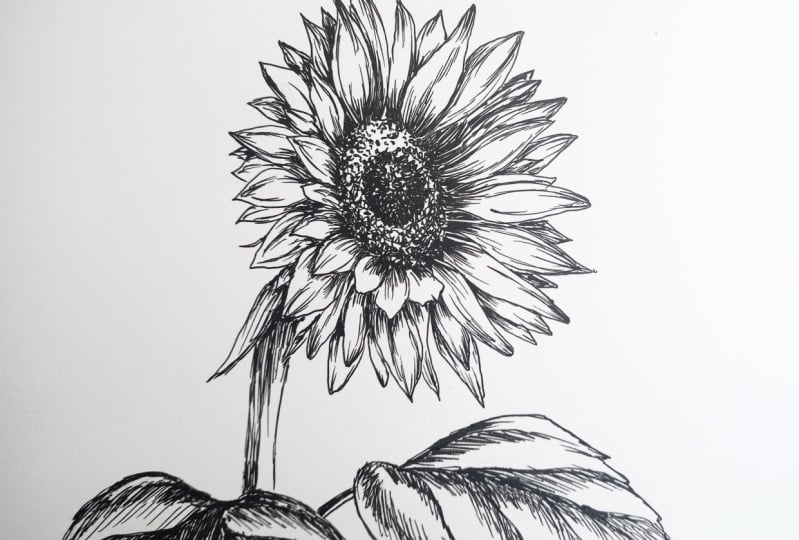 Ink line drawing