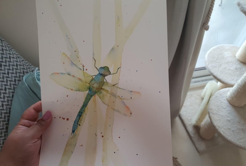 Dragonfly