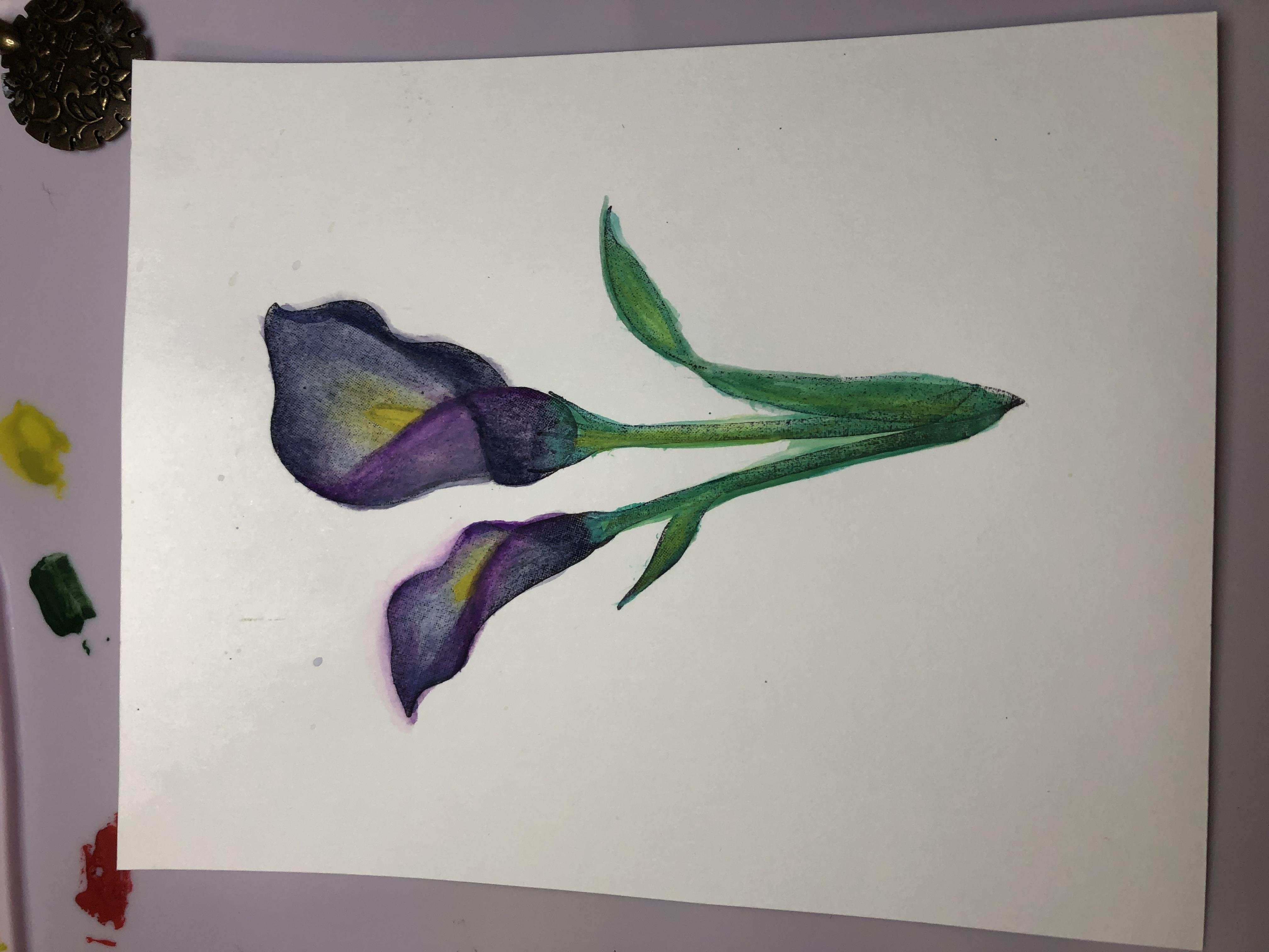 more-projects-from-class-img