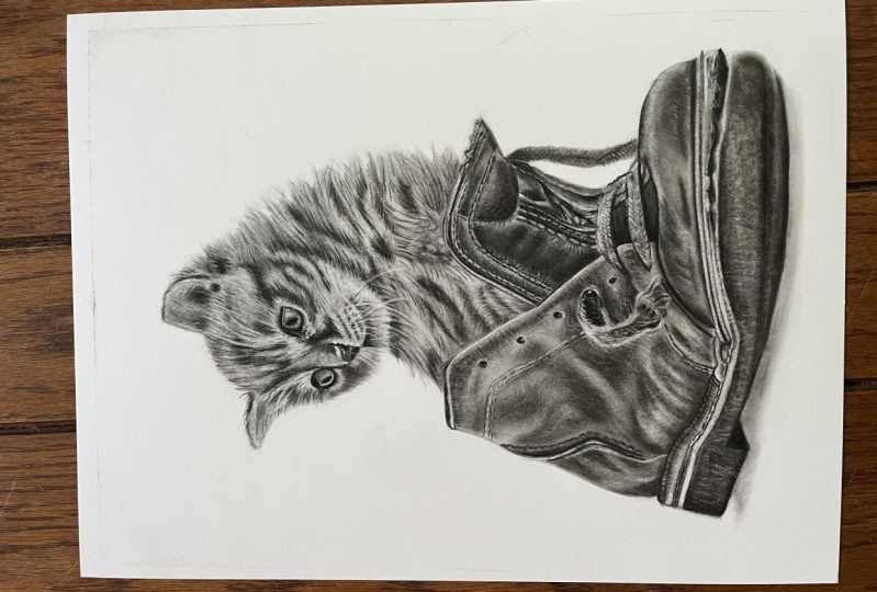Kitten in the shoe