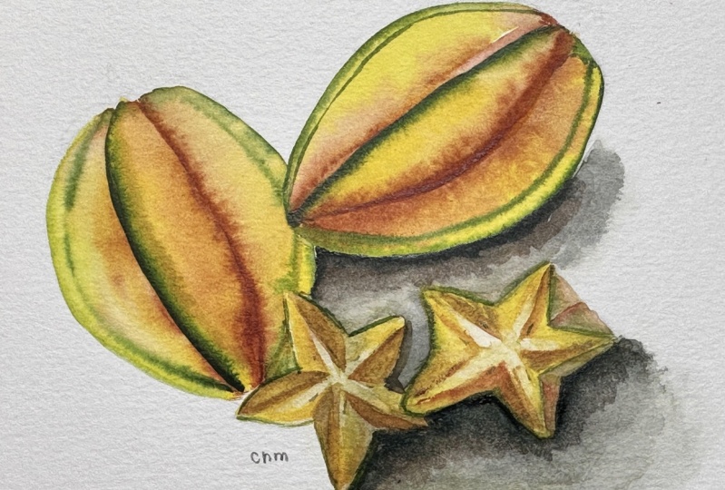 Star fruit