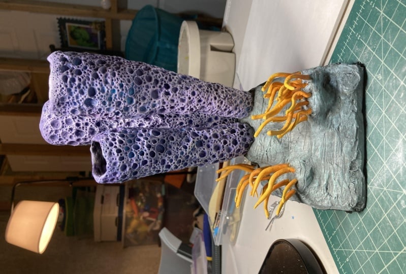Class Project