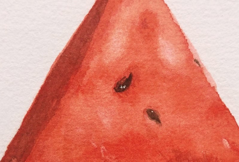 Watercolour Watermelon