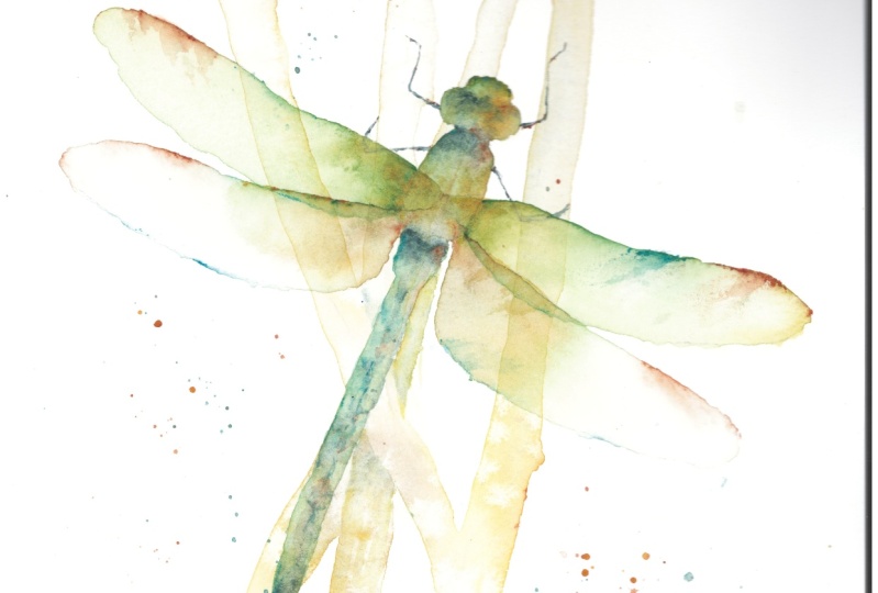 Dragonfly