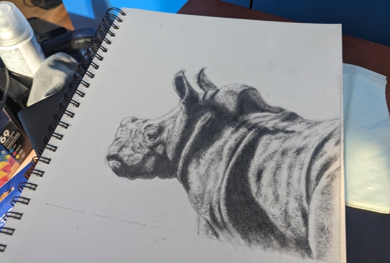 Baby rhino