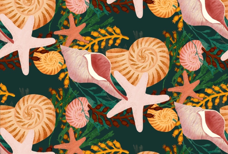 Seaweed and shells