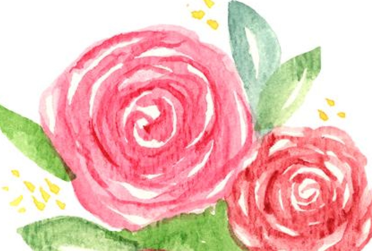 Roses - student project