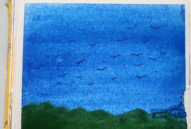 Sky